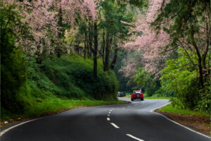 Places Of Interest In Meghalaya