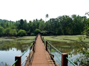 Best Tourist Places in Goa